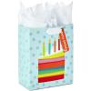 Hallmark 9″ Medium Gift Bag with Tissue Paper (Rainbow Cake Slice) for Birthdays(1 Count (Pack of 1))